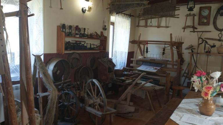 IMG_20231003_122152904 (Niestandardowy).jpg