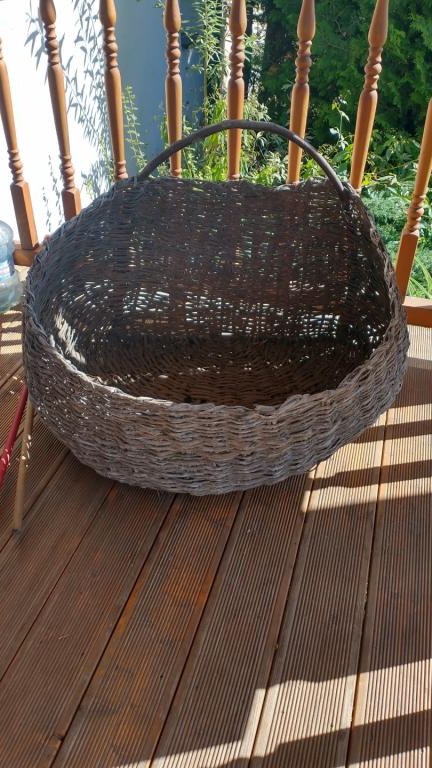 IMG_20231003_122947053_HDR (Niestandardowy).jpg