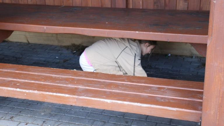 IMG_5457 (Niestandardowy).JPG