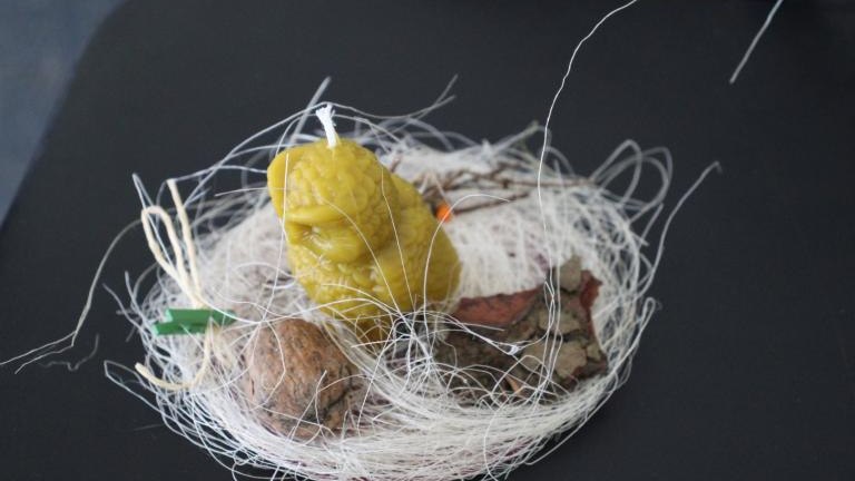 IMG_5932 (Niestandardowy).JPG