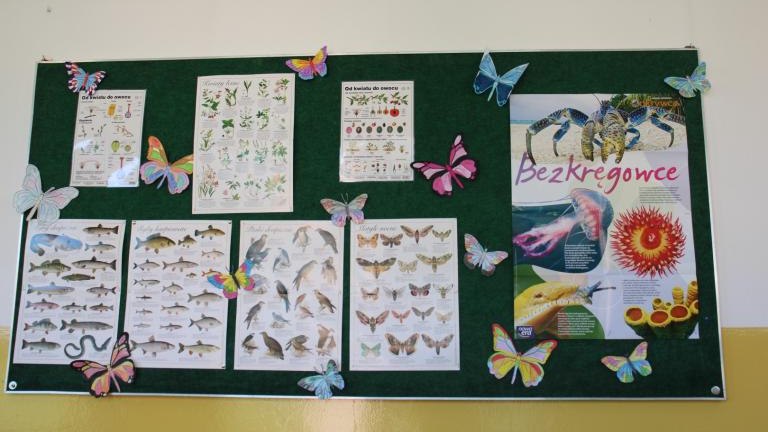 IMG_6011 (Niestandardowy).JPG