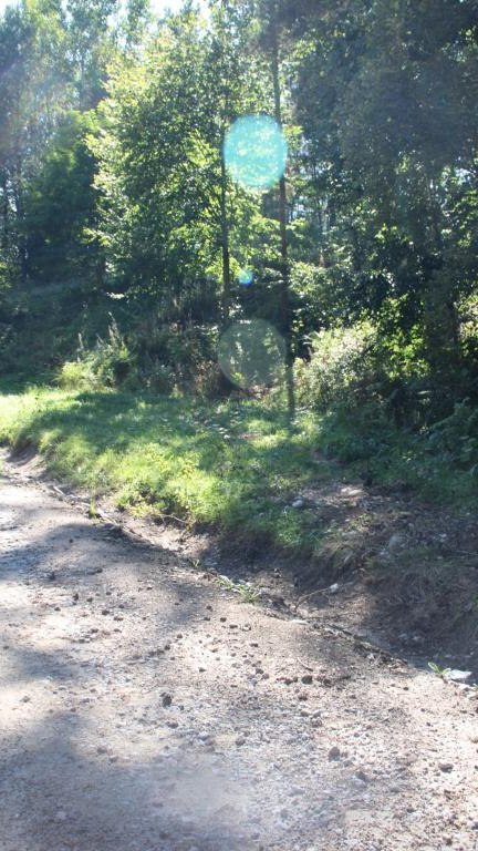 IMG_4887 (Niestandardowy).JPG