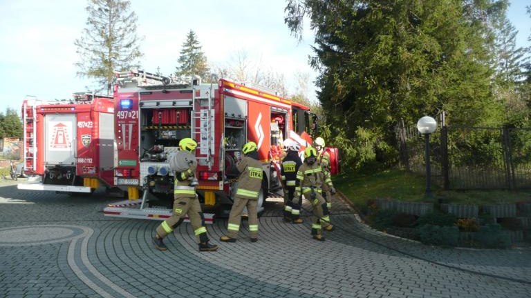 P1120867 (Niestandardowy).JPG