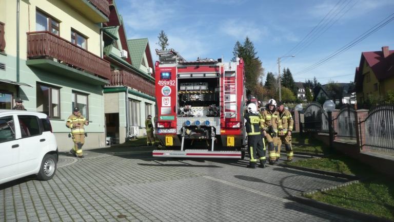 P1120897 (Niestandardowy).JPG