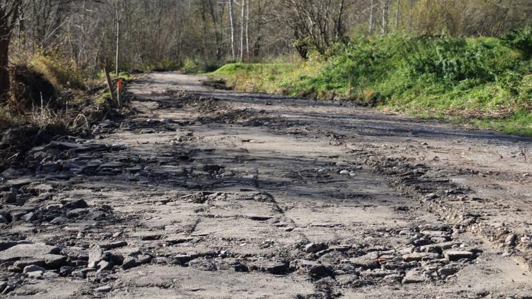 IMG_6718 (Niestandardowy).JPG