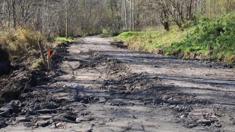 IMG_6719 (Niestandardowy).JPG