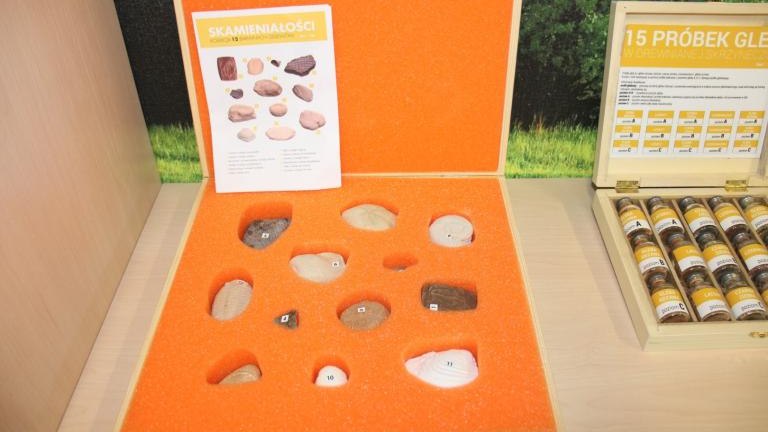 IMG_7009 (Niestandardowy).JPG