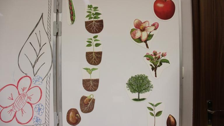 IMG_7100 (Niestandardowy).JPG