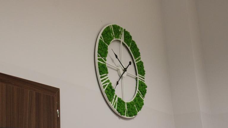 IMG_7101 (Niestandardowy).JPG