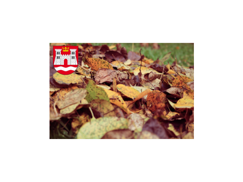 ANIKIETA dotycząca zagospodarowania BIOODPADÓW na terenie Gminy Czorsztyn