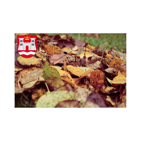 ANIKIETA dotycząca zagospodarowania BIOODPADÓW na terenie Gminy Czorsztyn