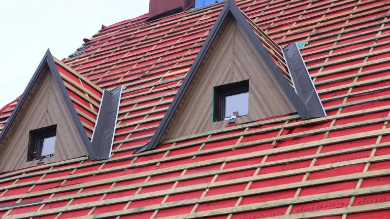 IMG_6452 (Niestandardowy).JPG