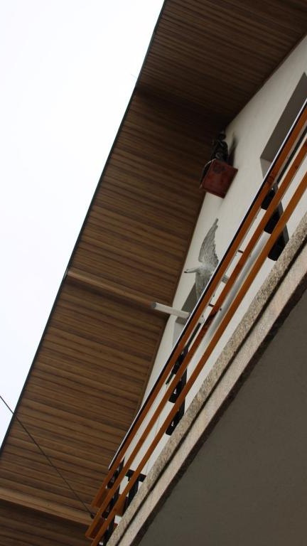 IMG_7136 (Niestandardowy).JPG