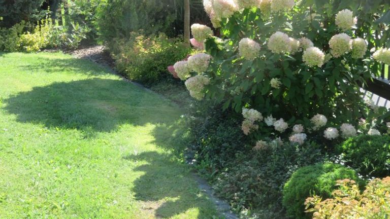 Chmielak Halina-l (5) (Niestandardowy).JPG