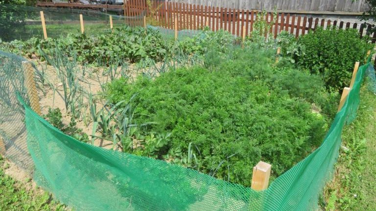 Chmielak Halina-w (13) (Niestandardowy).JPG