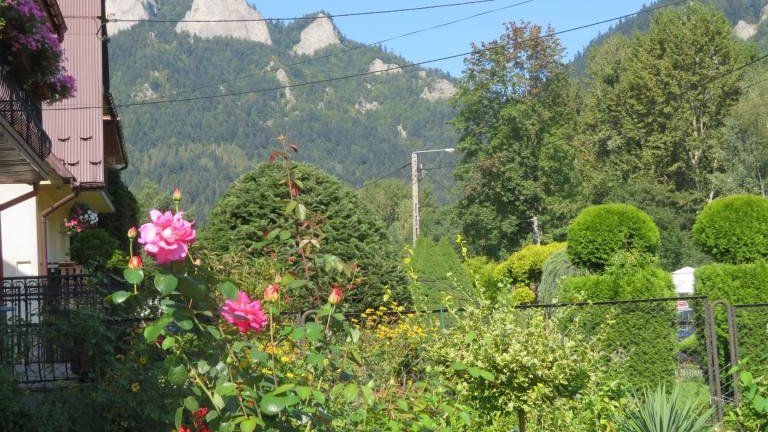 Cichoń Rozalia-l (16) (Niestandardowy).JPG