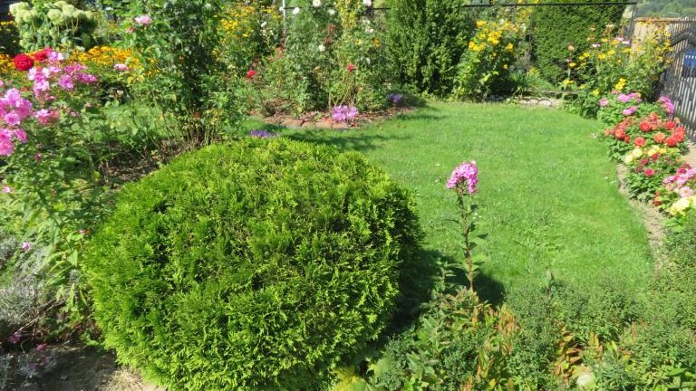 Cichoń Rozalia-l (4) (Niestandardowy).JPG