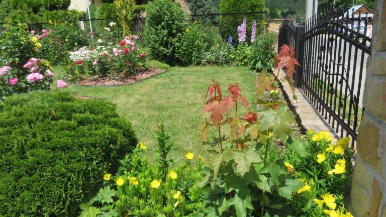 Cichoń Rozalia-w (5) (Niestandardowy).JPG