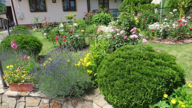 Cichoń Rozalia-w (6) (Niestandardowy).JPG