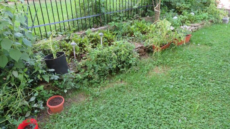 Gorlicka Weronika-w (9) (Niestandardowy).JPG