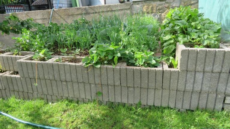 IMG_7422 (Niestandardowy).JPG