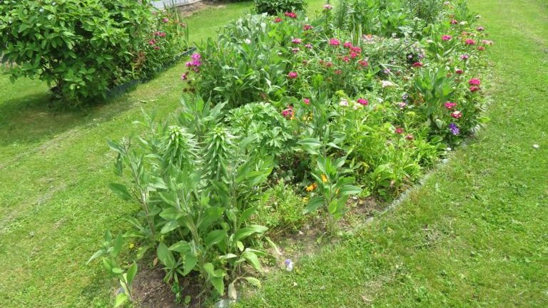 Janczy Jadwiga-w (12) (Niestandardowy).JPG