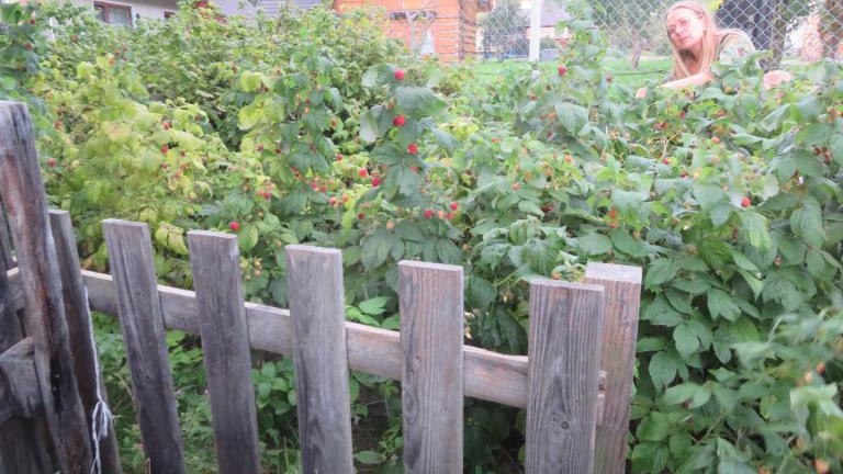 Jandura Anna-l (11) (Niestandardowy).JPG