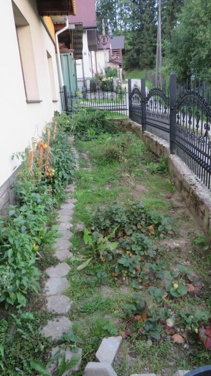 Jandura Anna-l (6) (Niestandardowy).JPG