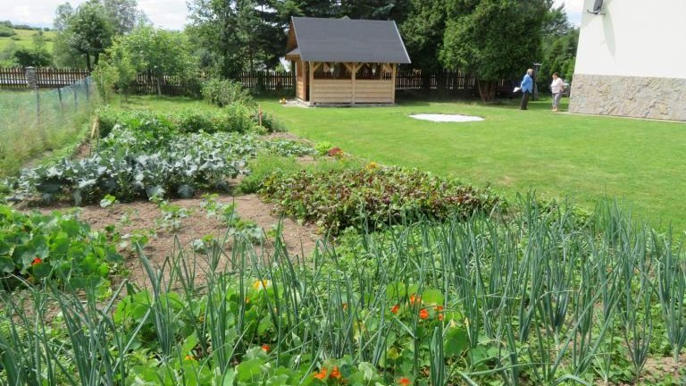 Kamyk Ewa-w (10) (Niestandardowy).JPG