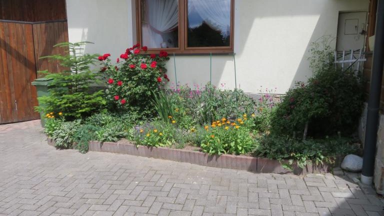 Kamyk Ewa-w (14) (Niestandardowy).JPG