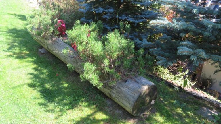 Krzystoń Anna-l (19) (Niestandardowy).JPG