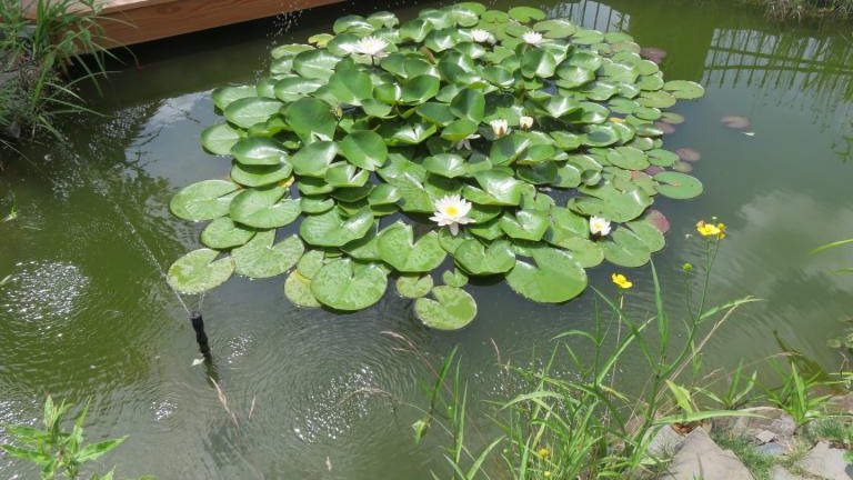 Krzystoń Anna-w (6) (Niestandardowy).JPG