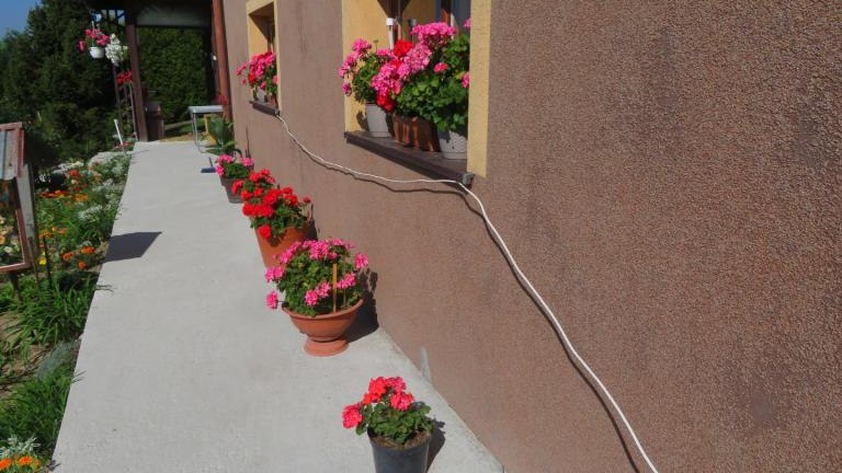 Pawlikowska Stefania-l (12) (Niestandardowy).JPG