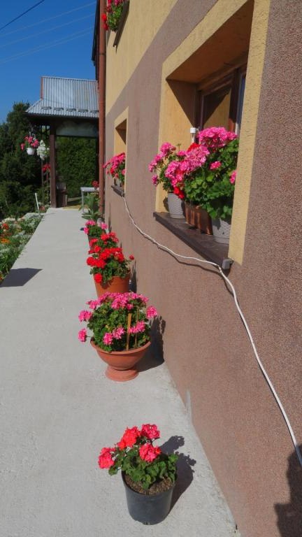 Pawlikowska Stefania-l (13) (Niestandardowy).JPG