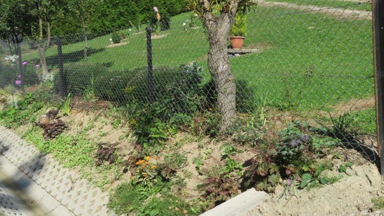 Pawlikowska Stefania-l (3) (Niestandardowy).JPG