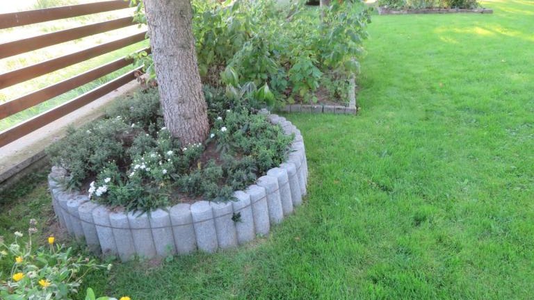 Pichniaczyk Barbara-l (10) (Niestandardowy).JPG