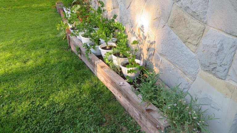 Pichniaczyk Barbara-l (13) (Niestandardowy).JPG