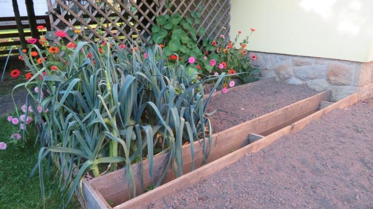 Pichniaczyk Barbara-l (16) (Niestandardowy).JPG