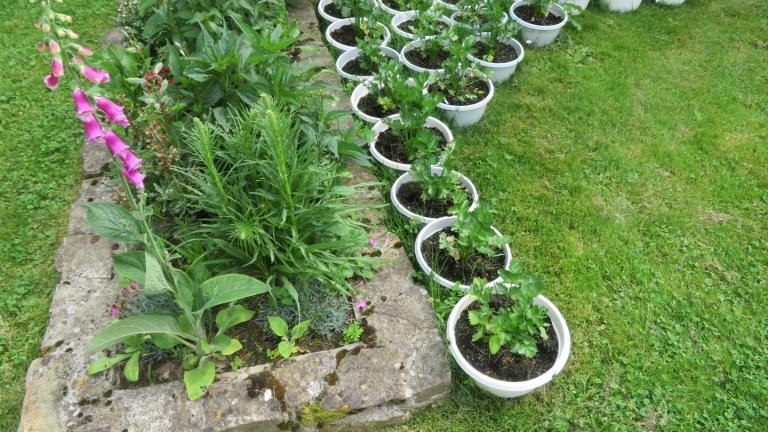 Pichniaczyk Barbara-w (17) (Niestandardowy).JPG