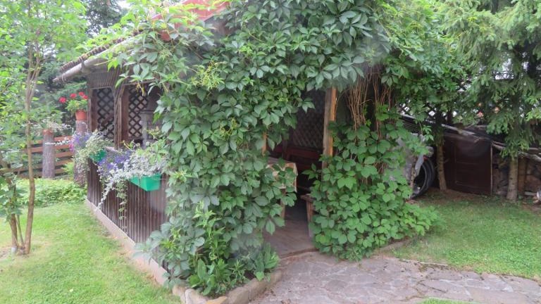 Pichniaczyk Barbara-w (23) (Niestandardowy).JPG