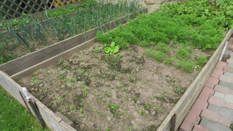 Pichniaczyk Barbara-w (26) (Niestandardowy).JPG