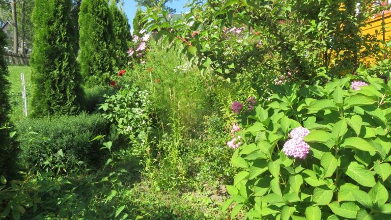 Plewa Władysława-l (11) (Niestandardowy).JPG