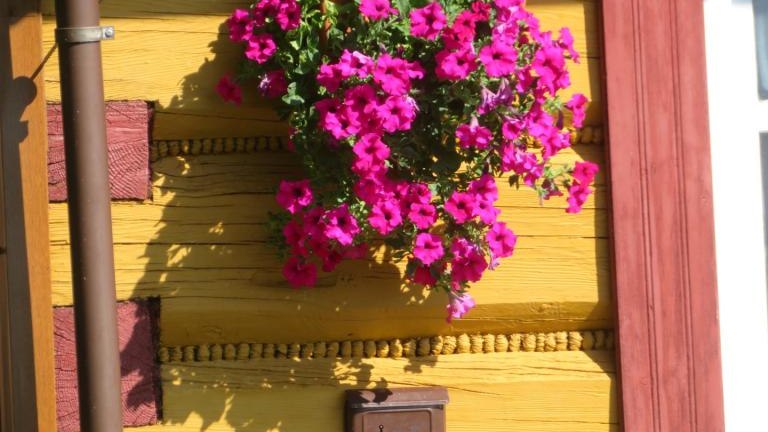 Plewa Władysława-l (3) (Niestandardowy).JPG