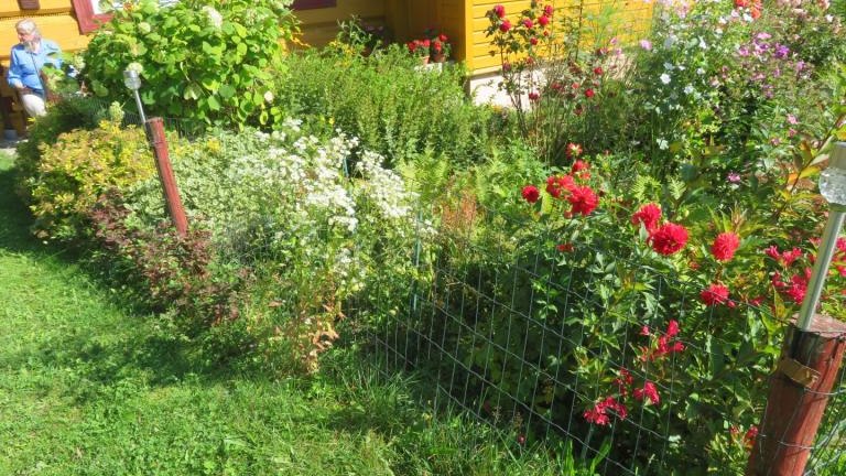 Plewa Władysława-l (5) (Niestandardowy).JPG