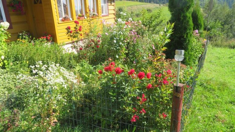 Plewa Władysława-l (6) (Niestandardowy).JPG