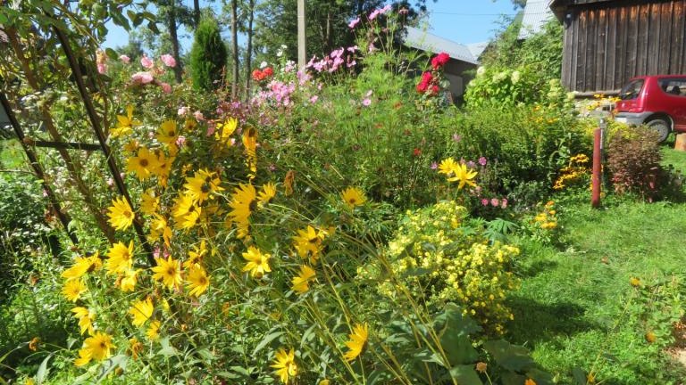 Plewa Władysława-l (8) (Niestandardowy).JPG