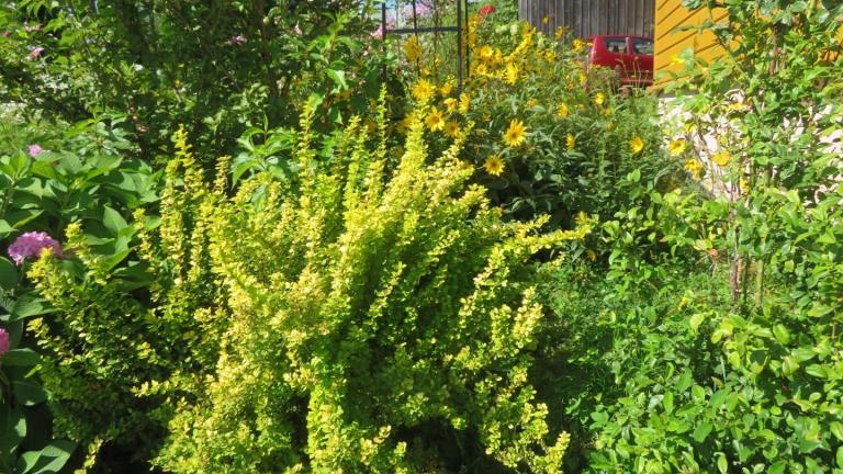 Plewa Władysława-l (9) (Niestandardowy).JPG