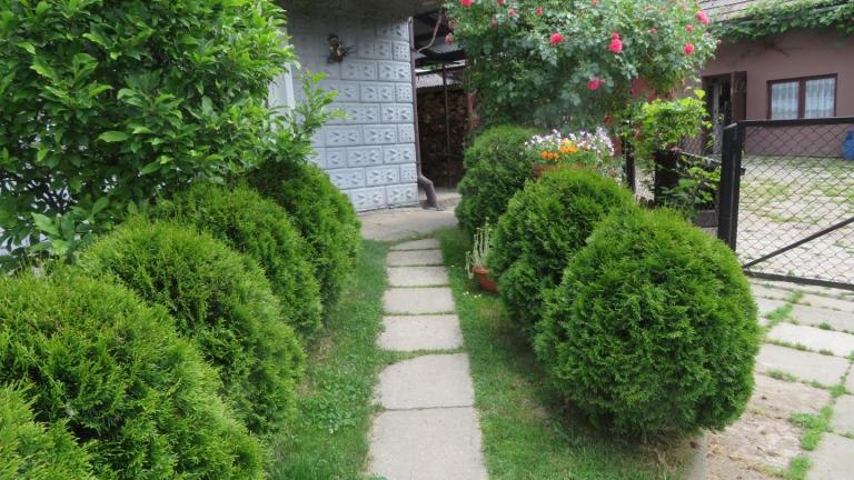 Plewa Władysława-w (9) (Niestandardowy).JPG