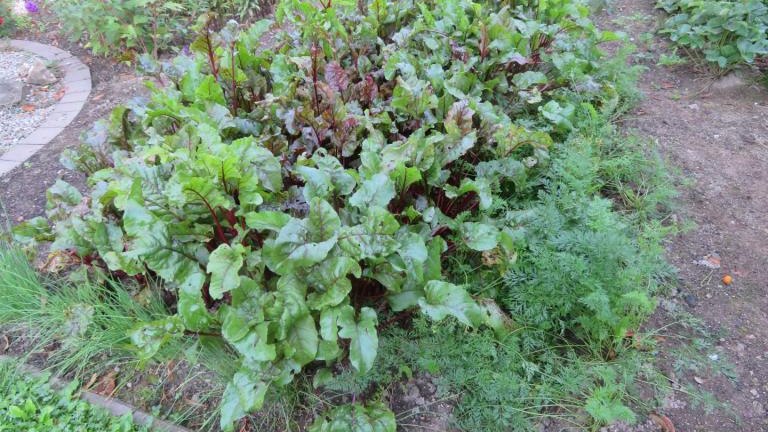 Plewa Władyslawa-l Maniowy (15) (Niestandardowy).JPG