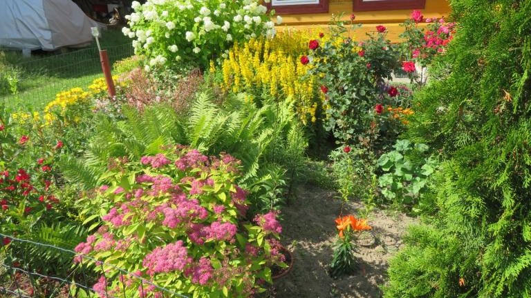 Plewa Władyslawa-w (7) (Niestandardowy).JPG